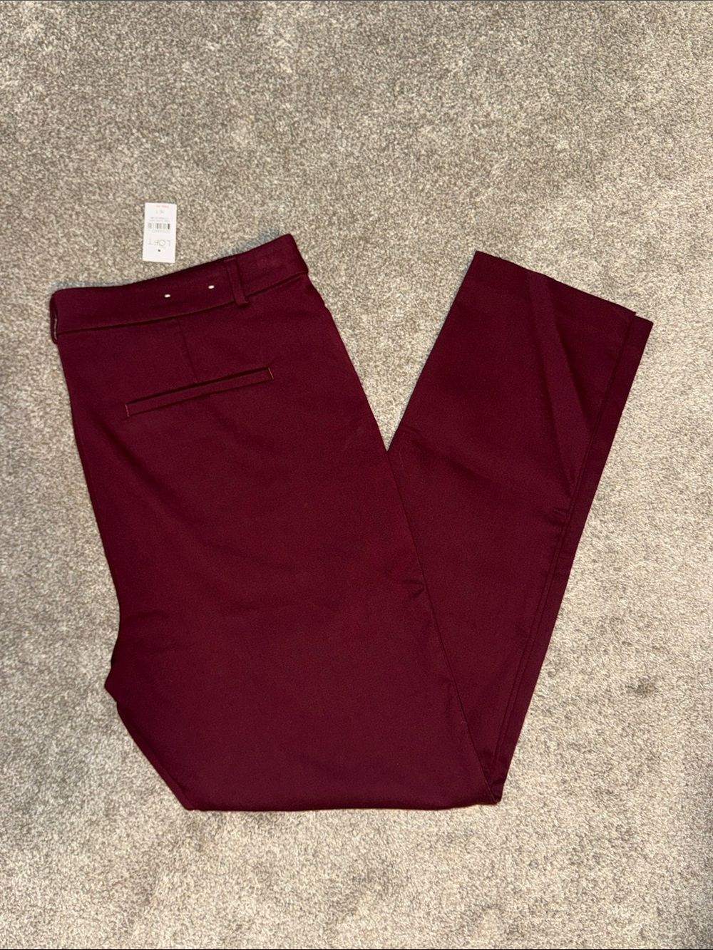 NWT Loft Pants